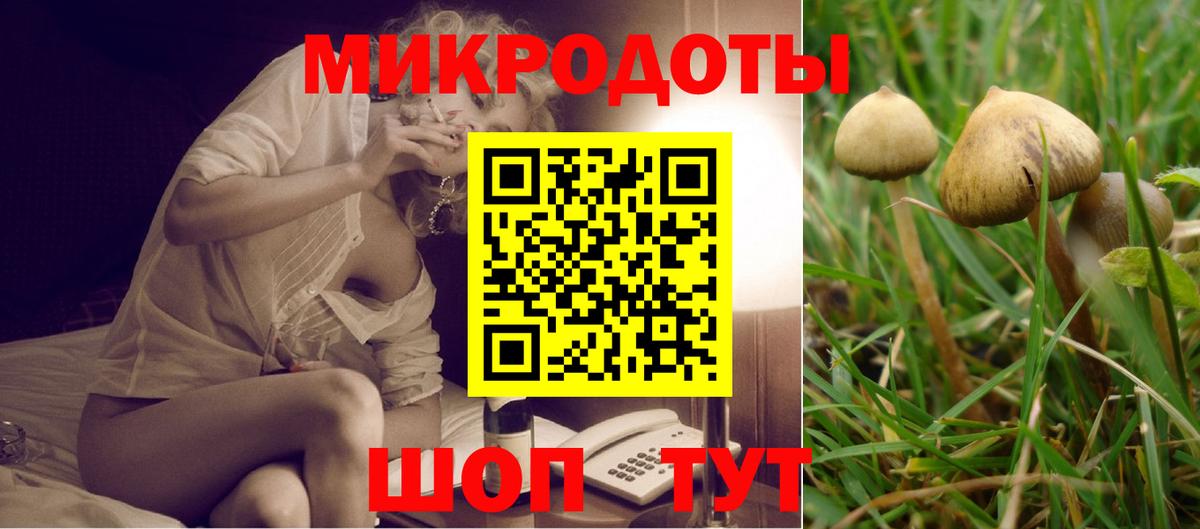 Галлюциногенные грибы мицелий Балашиха