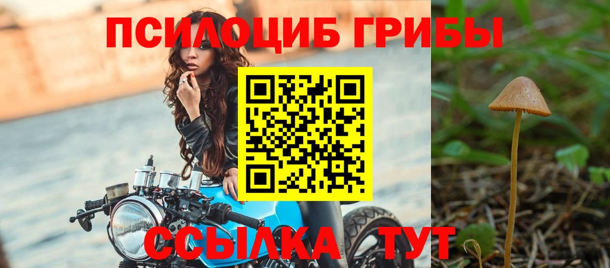 Балашиха  Псилоцибиновые грибы Psilocybe  Вход с VPN  Псилоцибиновые грибы мухоморы 
